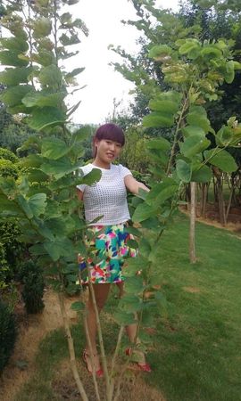 牡丹，花苑主播照片