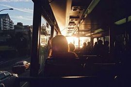 编号520.主播照片