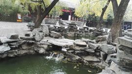 龙威媚儿主播照片