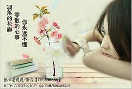 🌸傲雪寒梅🌸️主播照片