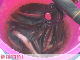 泓一户外主播照片