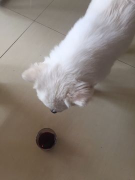 嘚瑟💗主播照片