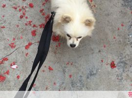 牙宝宝🌸主播照片