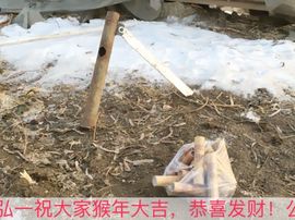 泓一户外主播照片