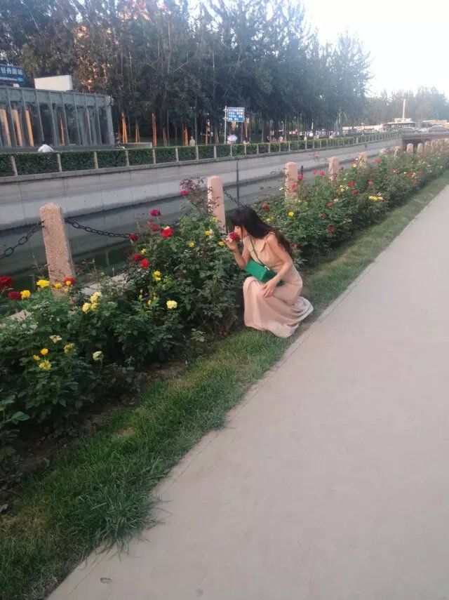 ☞雪儿♞930☜的图片