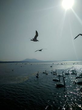 心悦空间主播照片