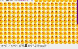 🌸诗诗主播照片