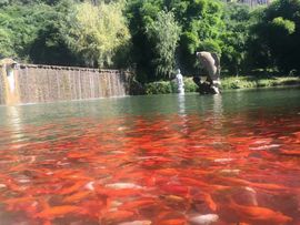 0左左右右0主播照片