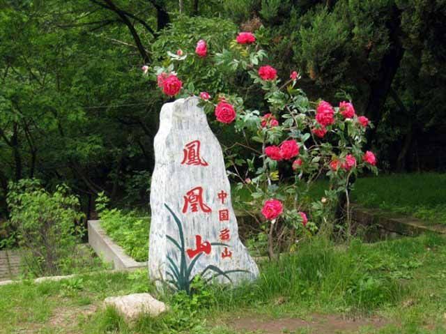 犬哮金源的主播照片