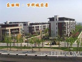 天悦限量版妞妞哥哥主播照片