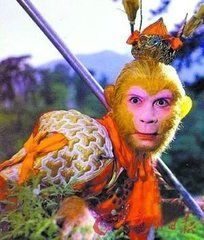 天悦限量版妞妞哥哥主播照片