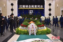 天悦限量版妞妞哥哥主播照片