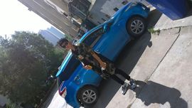 跑调儿.主播照片