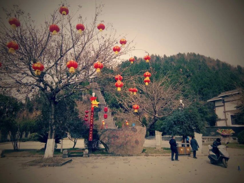 大白|天羽╮♫つ風ゝ主播照片