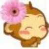 谢璇o
