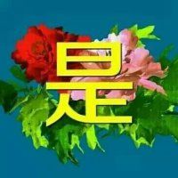 ❤雨❤荷❤主播照片