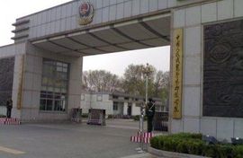 天悦限量版妞妞哥哥主播照片