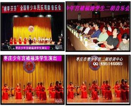二胡艺术吧主播照片