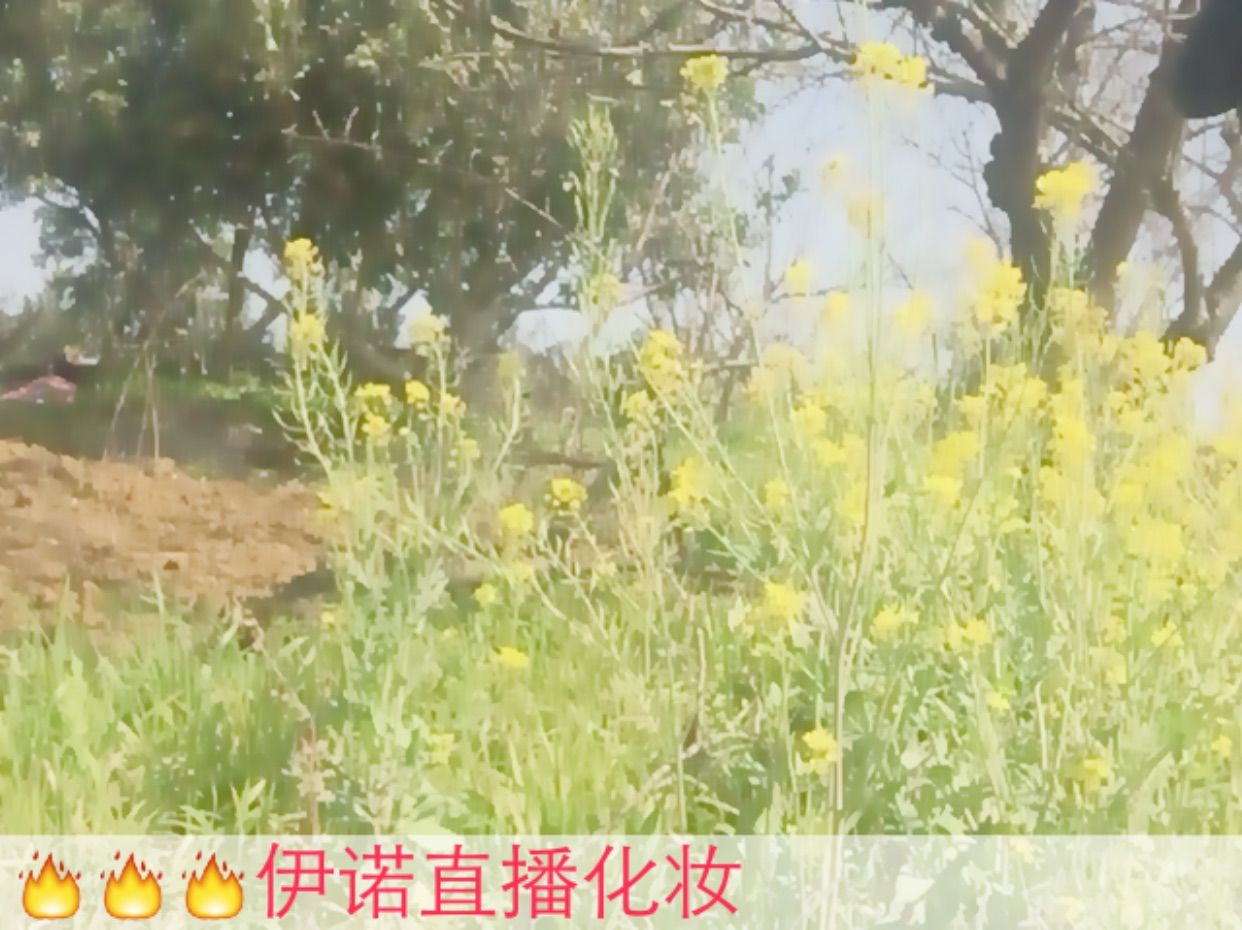 伊诺-执着的坚持下去的主播照片