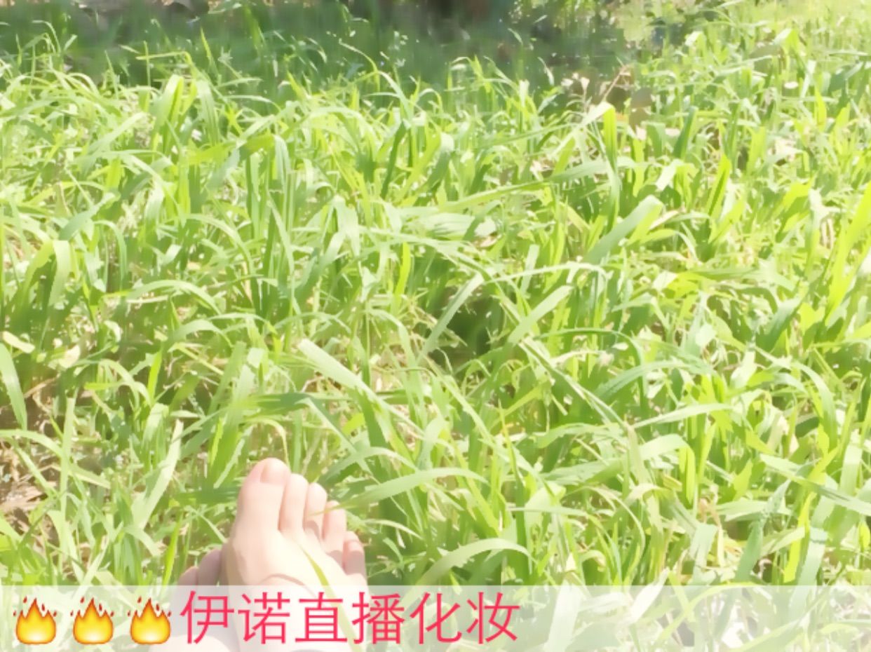 伊诺-执着的坚持下去的主播照片