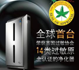 天悦限量版妞妞哥哥主播照片