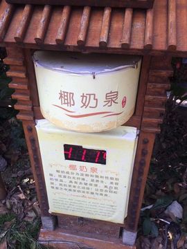 伊人红妆……回来了主播照片