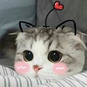 💓王哥哥🌸🍃♥