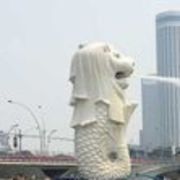 小短腿VS长腿欧巴