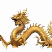 短短鸟