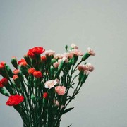 微信_5175070