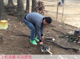 思念恭喜二哥荣升男爵主播照片