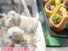 😱……主播照片