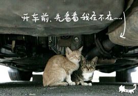 新疆迪丽热巴主播照片