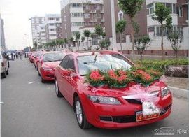 天悦限量版妞妞哥哥主播照片