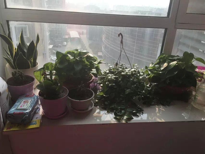 为爱♥♡灬停留主播照片