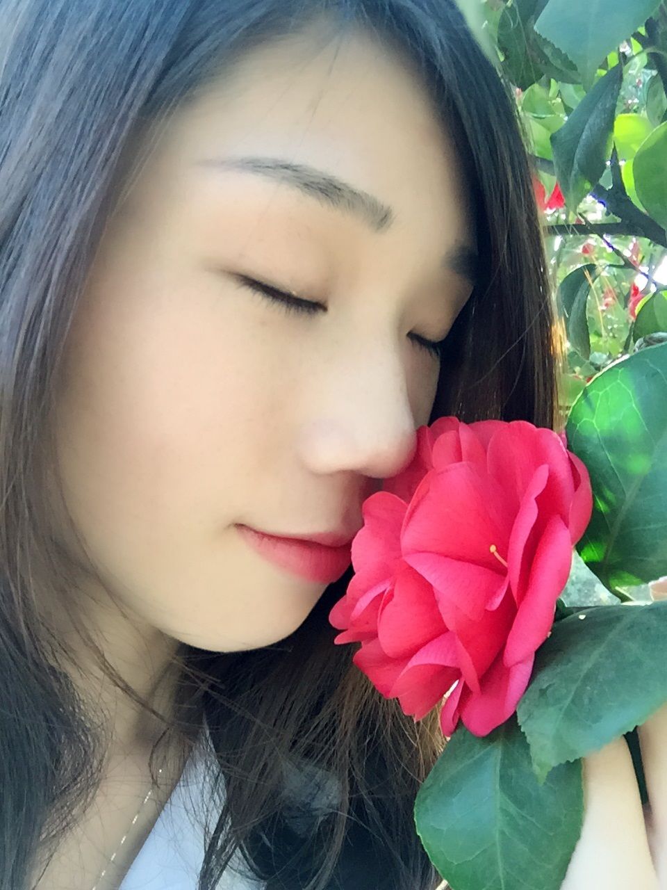 清风幽客的主播照片