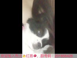 荭唇💋主播照片