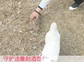泓一户外主播照片