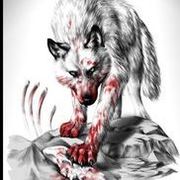 🐺狼♑🍃血狼的头像
