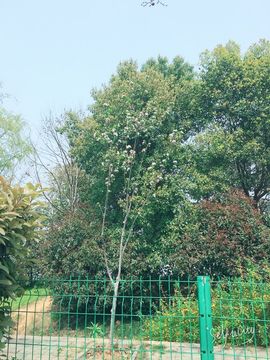 污婆❤️有缘再相聚主播照片