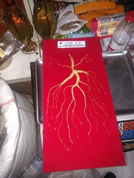 过往皆是浮云主播照片
