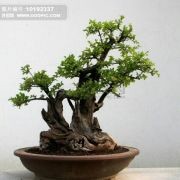 畅心常谈