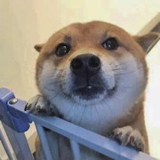 闪电麦昆丶