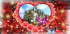 糖小糖♥愿世界和平主播照片