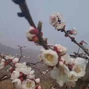 618心暖。海报