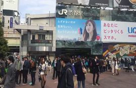 習慣有妮主播照片
