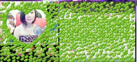 ╲ぃ梦醒时分♪♪主播照片