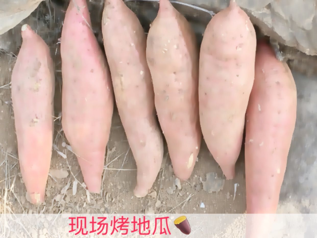 小龙恩@简简单单主播照片