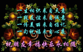 天悦限量版妞妞哥哥主播照片