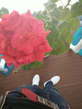 __公主殿下～主播照片